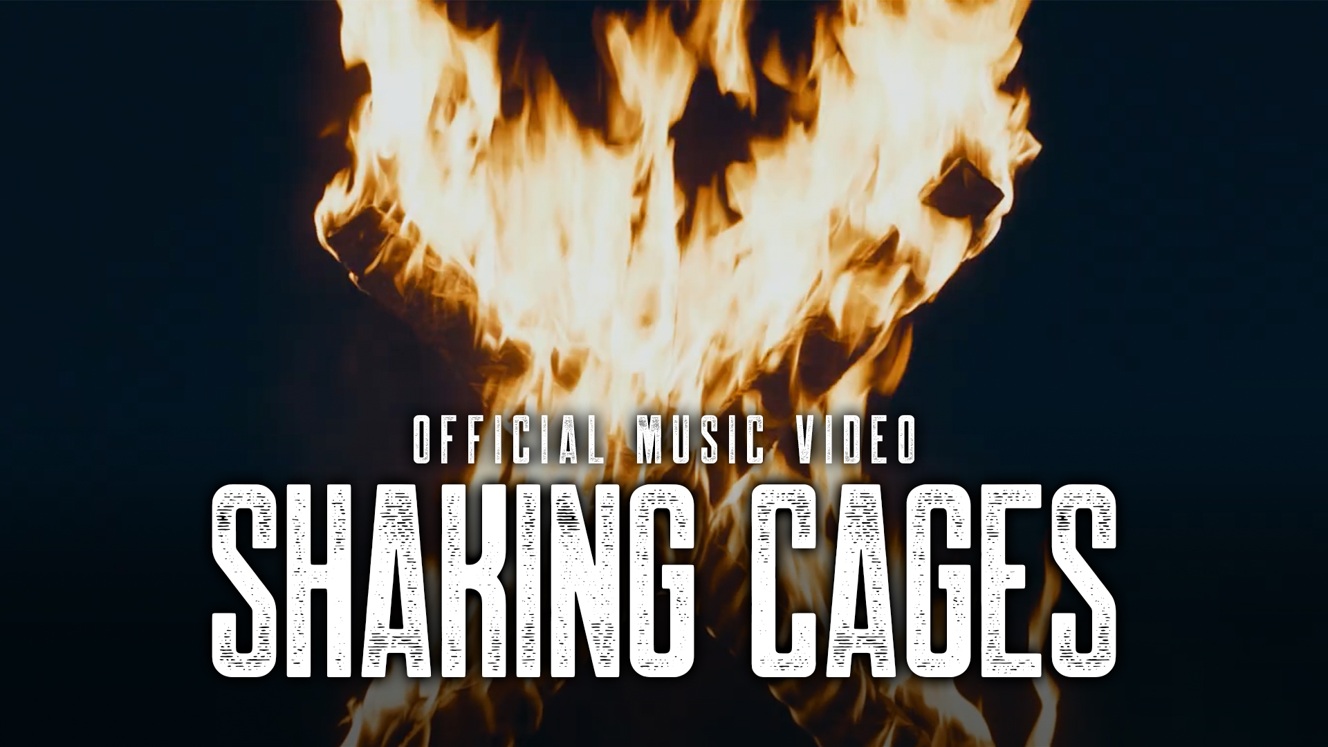 Shaking Cages - Official Music Video.